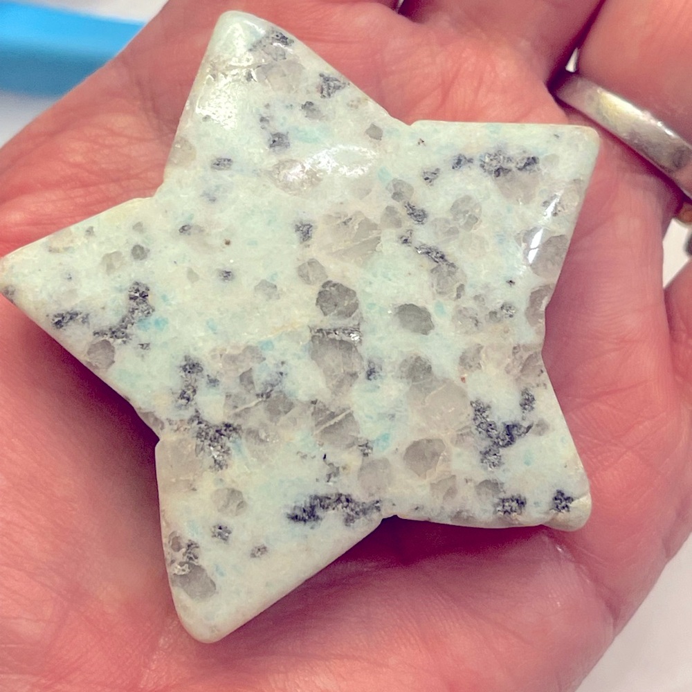 Kiwis- Kiwi Jasper Star carved stone